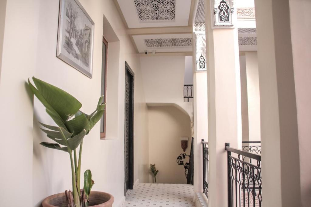 Riad Amazing Marrakesh Exterior photo